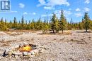 HIGHLIGHT: Large clearing with drilled well - waiting for you! - 128 Little Pine Drive, Northern Bruce Peninsula, ON 
