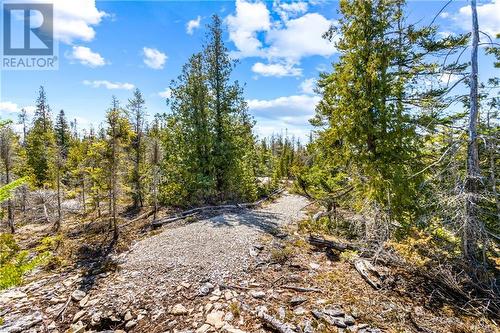 128 Little Pine Drive, Northern Bruce Peninsula, ON 