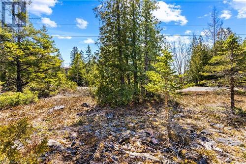 128 Little Pine Drive, Northern Bruce Peninsula, ON 