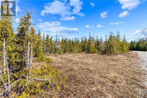 128 Little Pine Drive, Northern Bruce Peninsula, ON 