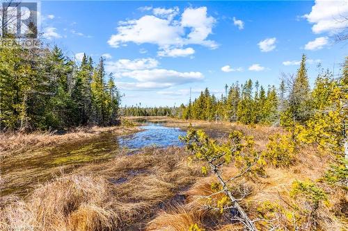 Enjoy the beauty of nature! - 128 Little Pine Drive, Northern Bruce Peninsula, ON 