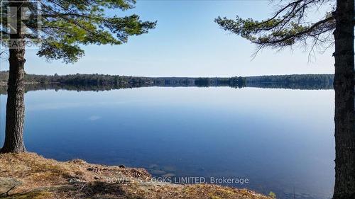 107 Fire Route 84A, Havelock-Belmont-Methuen, ON - Outdoor With Body Of Water With View