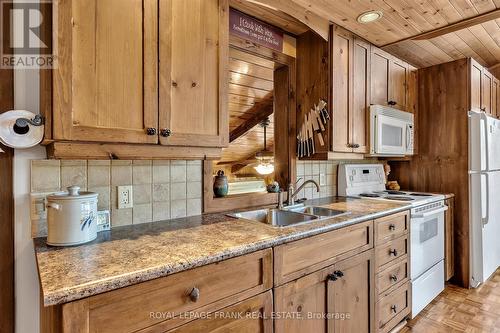 2711 Channel View Lane, Smith-Ennismore-Lakefield, ON - Indoor Photo Showing Kitchen With Double Sink