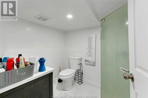 445 Bridge Avenue, Windsor, ON - Indoor Photo Showing Bathroom