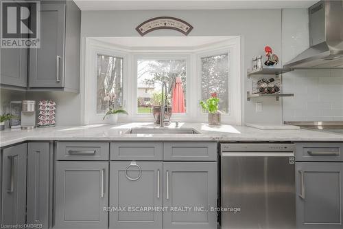 139 Daffodil Crescent, Hamilton, ON - Indoor Photo Showing Kitchen