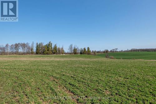 29 Crowe River Rd, Trent Hills, ON - 