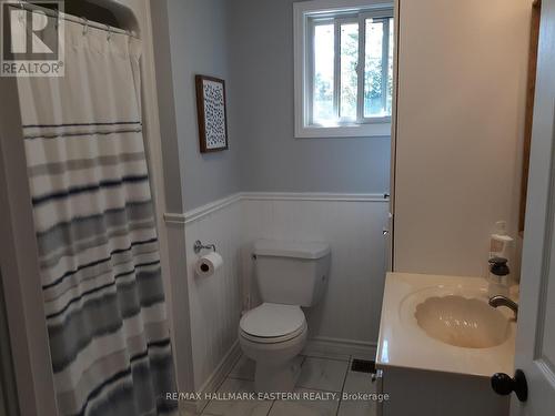 10 Hill Dr, Galway-Cavendish And Harvey, ON - Indoor Photo Showing Bathroom