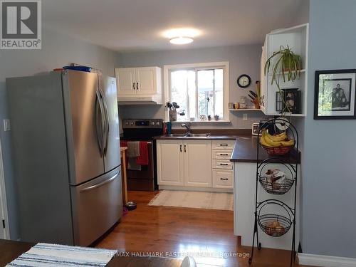 10 Hill Dr, Galway-Cavendish And Harvey, ON - Indoor Photo Showing Kitchen With Double Sink