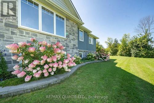 1647 Lakeside Drive, Prince Edward County, ON - Outdoor