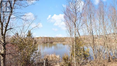 252 Morden Dr, Shelburne, ON - Outdoor With View