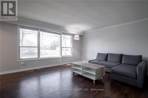 88 Gram Ave, Welland, ON - Indoor Photo Showing Living Room