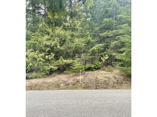 Lot 13 Slocan West Road, Nelson, BC 