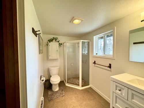 4423 Highway 95, Golden, BC - Indoor Photo Showing Bathroom