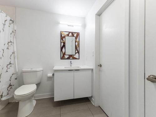 Salle de bains - 312-40 Rue Jos-Montferrand, Gatineau (Hull), QC - Indoor Photo Showing Bathroom