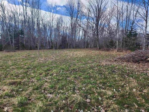 Lot 20-2B 1691 Highway 376, Lyons Brook, NS 