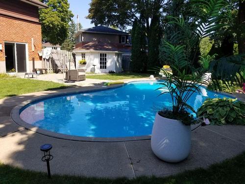 Pool - 100 Av. Buckingham, Pointe-Claire, QC - Outdoor With In Ground Pool With Backyard