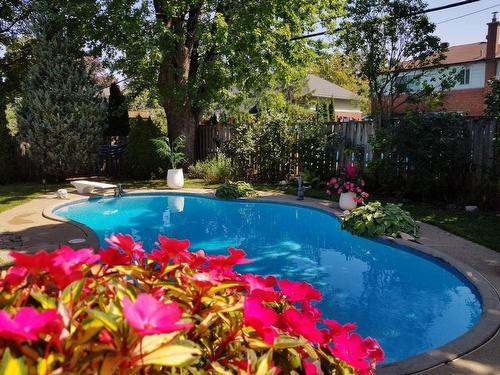 Pool - 100 Av. Buckingham, Pointe-Claire, QC - Outdoor With In Ground Pool With Backyard