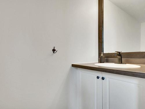 Powder room - 153 Mtée Victor-Nymark, Saint-Sauveur, QC - Indoor Photo Showing Bathroom