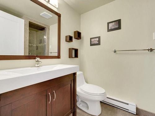 Bathroom - 153 Mtée Victor-Nymark, Saint-Sauveur, QC - Indoor Photo Showing Bathroom