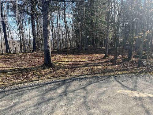 Lot 17 Maple Leaf Drive, Huntsville, ON 