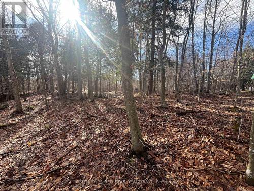 Lot 17 Maple Leaf Drive, Huntsville, ON 