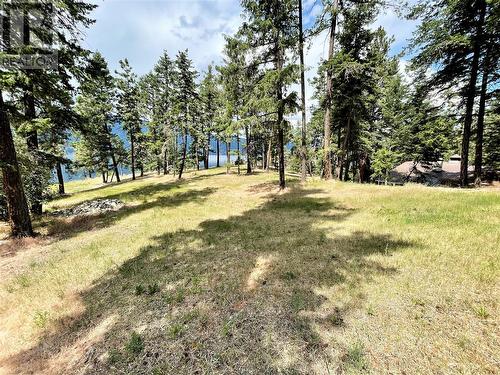 110 Russell Road, Vernon, BC - Outdoor With View