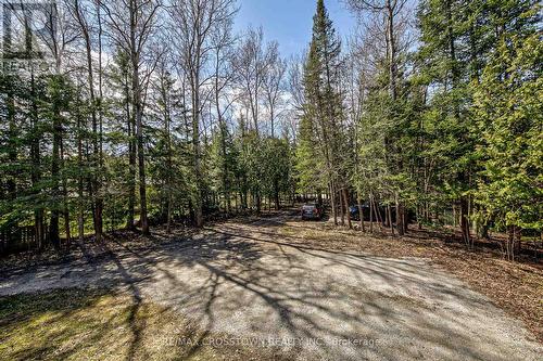1399 Gill Road, Springwater, ON - Outdoor With View