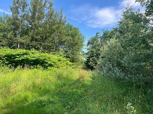 Land/Lot - Rue Alexandre, Pointe-À-La-Croix, QC 