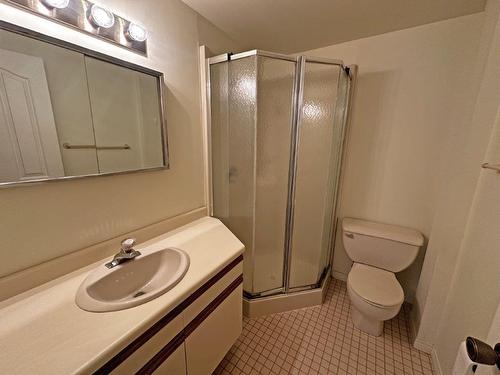 201 590 Beverly Street, Thunder Bay, ON - Indoor Photo Showing Bathroom