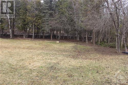 The side yard is quite nice, flat and spacious for outdoor living, pets & kids. - 4220 Hwy 511 Highway, Lanark, ON - Outdoor