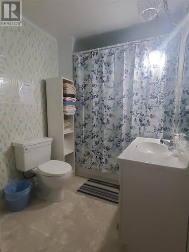 148 Main Street, Lewin'S Cove, NL - Indoor Photo Showing Bathroom