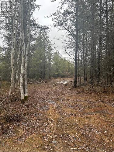 Lot 3 Linden Drive, Greater Sudbury, ON 