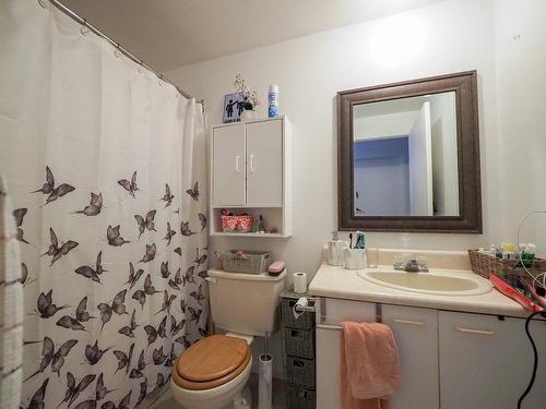 Dwelling - 2440 Rg St-Jean, Saint-Maurice, QC - Indoor Photo Showing Bathroom