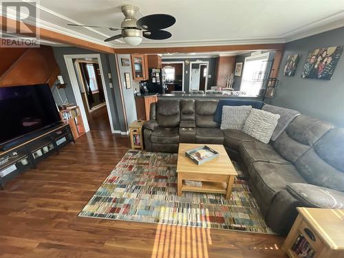 1A Third Avenue, Badger, NL - Indoor Photo Showing Living Room