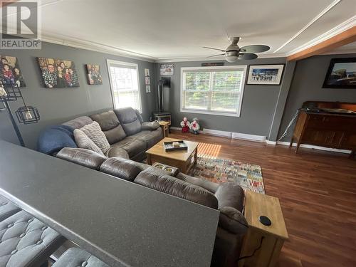 1A Third Avenue, Badger, NL - Indoor Photo Showing Living Room