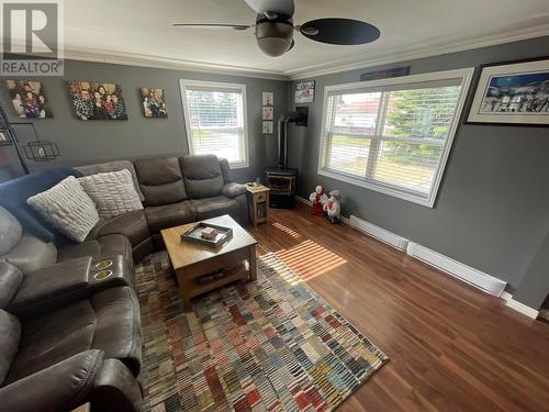 1A Third Avenue, Badger, NL - Indoor Photo Showing Living Room