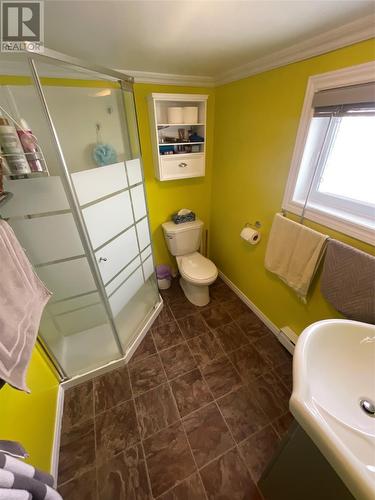 1A Third Avenue, Badger, NL - Indoor Photo Showing Bathroom