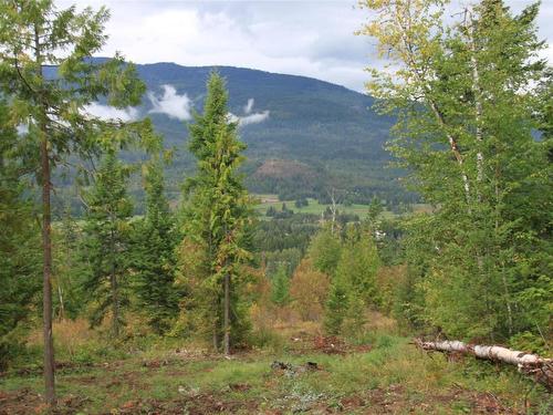 Ph4-Lot 4 Tatlow Road, Salmon Arm, BC - Outdoor With View