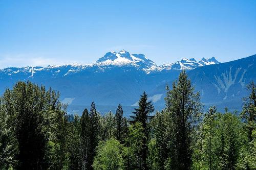 10 Proposed Lot #10 150 Townley Street, Revelstoke, BC - Outdoor With View