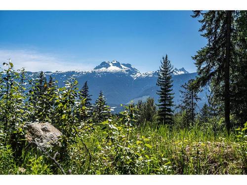 11 Proposed Lot #11 150 Townley Street, Revelstoke, BC - Outdoor With View