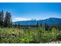 11 Proposed Lot #11 150 Townley Street, Revelstoke, BC  - Outdoor With View 