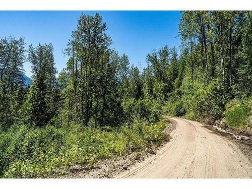 11 Proposed Lot #11 150 Townley Street, Revelstoke, BC - Outdoor With View