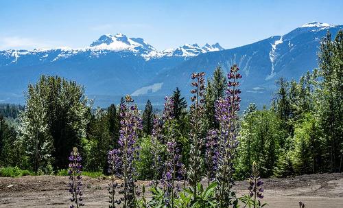 13 Proposed Lot #13 150 Townley Street, Revelstoke, BC - Outdoor With View