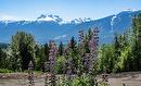 13 Proposed Lot #13 150 Townley Street, Revelstoke, BC  - Outdoor With View 