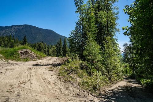 13 Proposed Lot #13 150 Townley Street, Revelstoke, BC - Outdoor With View