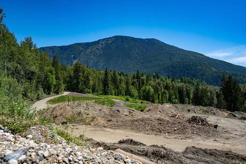 13 Proposed Lot #13 150 Townley Street, Revelstoke, BC - Outdoor With View