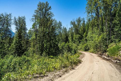 13 Proposed Lot #13 150 Townley Street, Revelstoke, BC - Outdoor With View