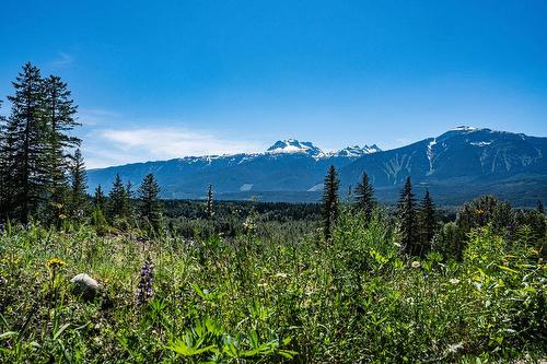 13 Proposed Lot #13 150 Townley Street, Revelstoke, BC - Outdoor With View