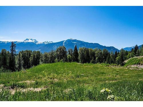 1 Proposed Lot #1 150 Townley Street, Revelstoke, BC - Outdoor With View