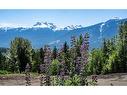1 Proposed Lot #1 150 Townley Street, Revelstoke, BC  - Outdoor With View 